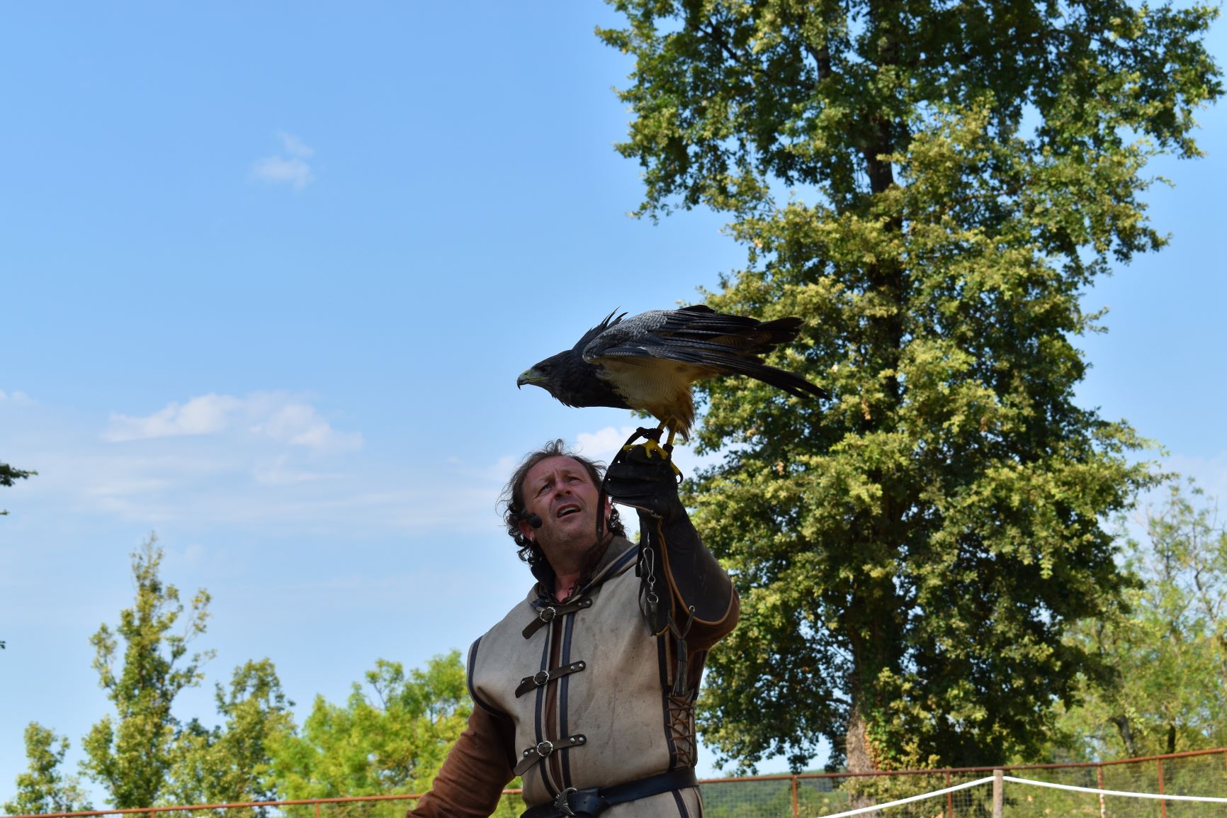 Les oiseaux font leur show au Château !